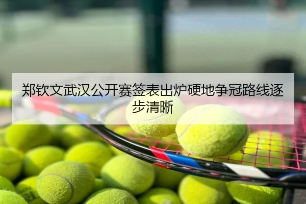 郑钦文武汉公开赛签表出炉硬地争冠路线逐步清晰（MILAN）
